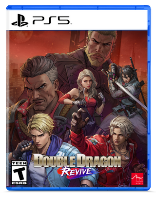 Pre-Order: Double Dragon Revive – Standard (PS5/NSW) or Collector’s Edition (PS5)